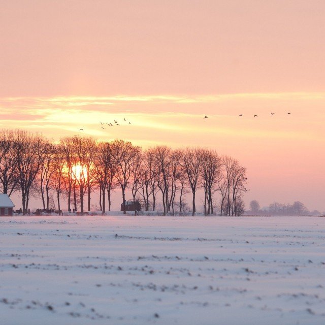 Toukomst: Landschap voor fijnproevers