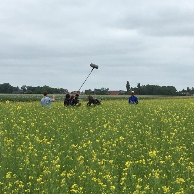 Bitterballen en mosterd bij De Proefkeuken